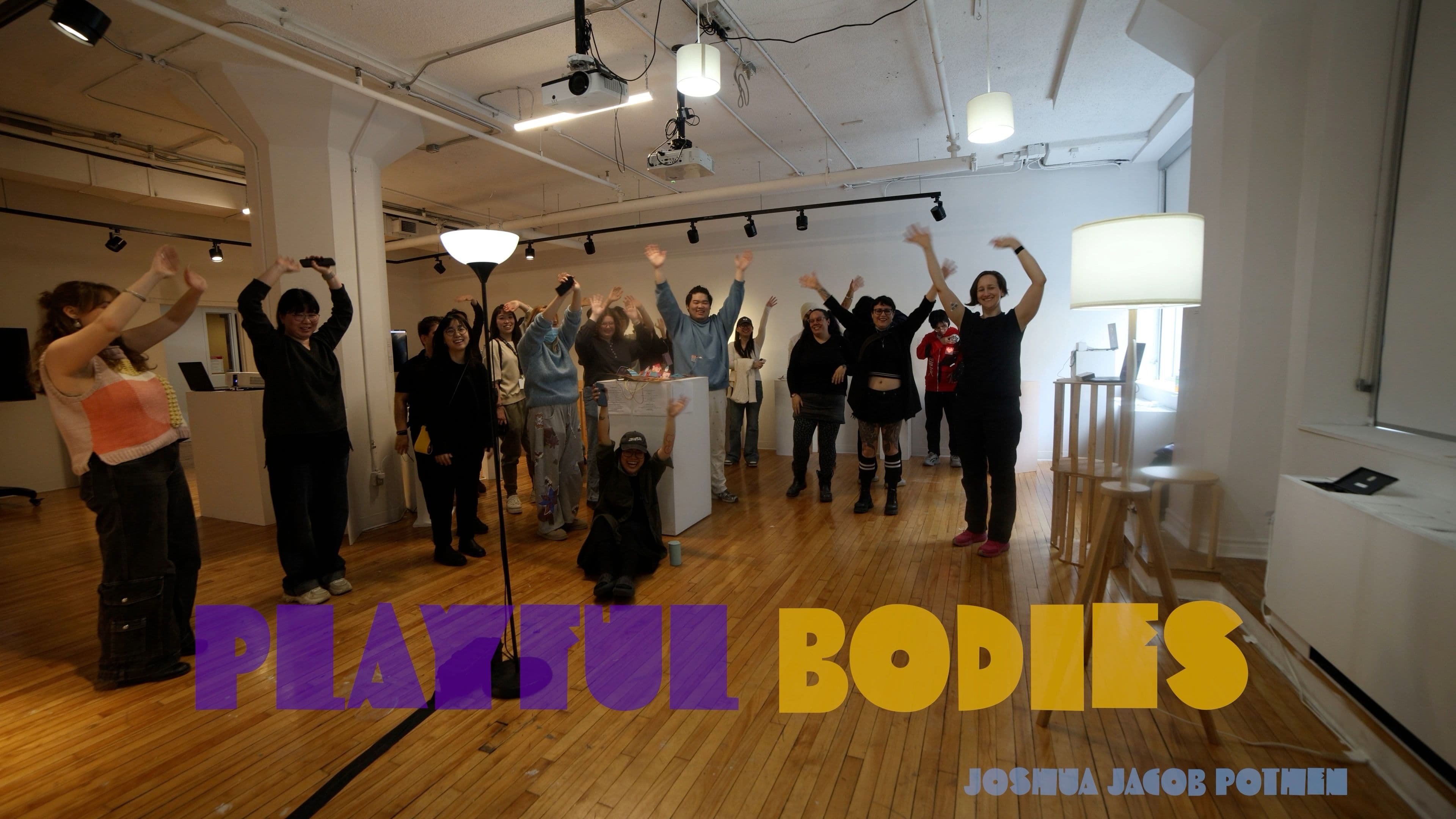 Cover image for Playful Bodies